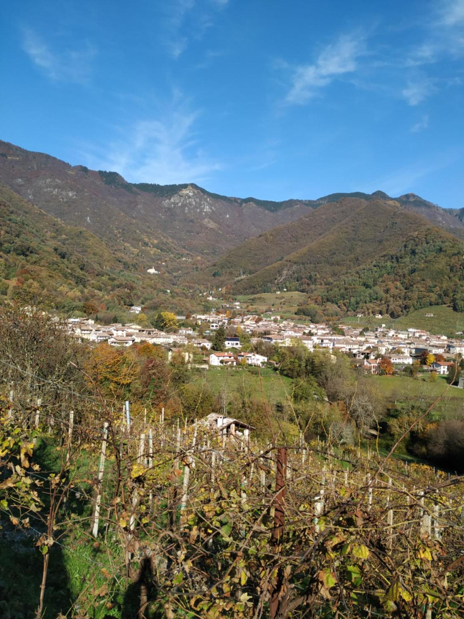 B&B Casa Lisa Miane Pokoj fotografie